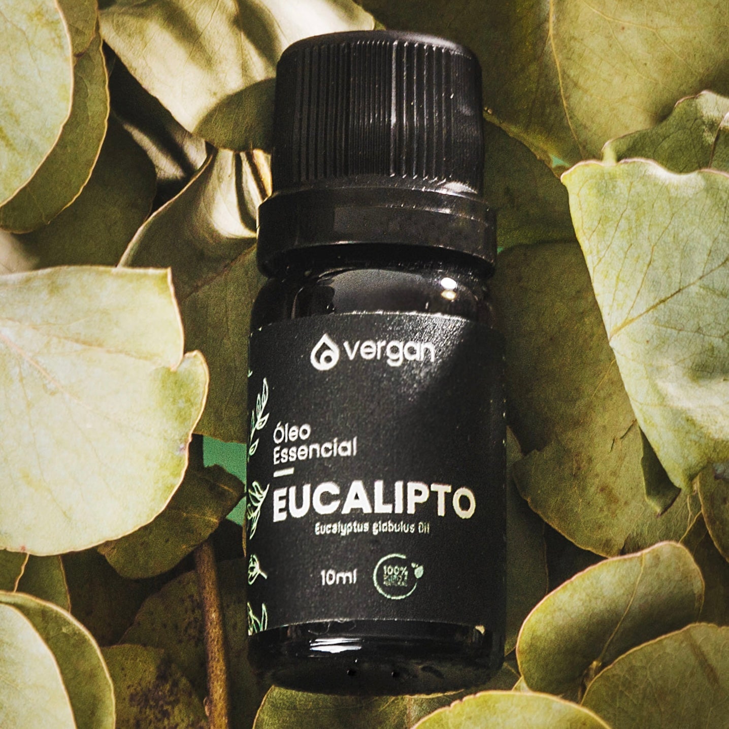 Óleo Essencial de Eucalipto - 10ml